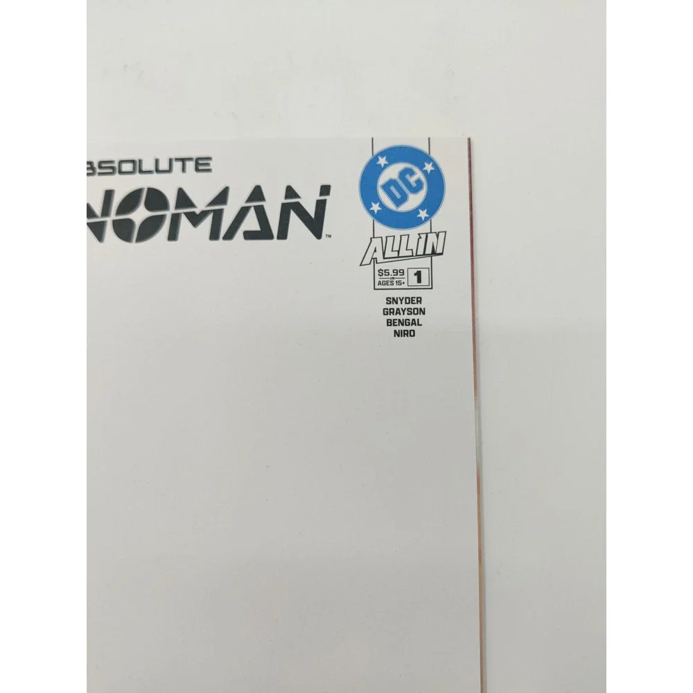 Absolute Catwoman 1 DC All In Blank Sketch Variant Scott Snyder Bengal 2024